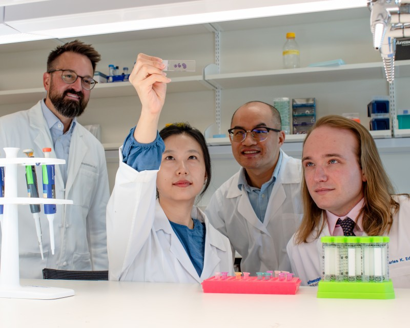 Scientists discover metabolite fueling aggressive brain tumor growth Scientists discover metabolite fueling aggressive brain tumor growth
