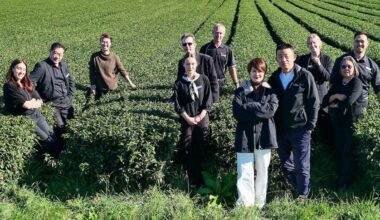 Zealong opens Tea Studios at Mojo cafes in Auckland and Wellington