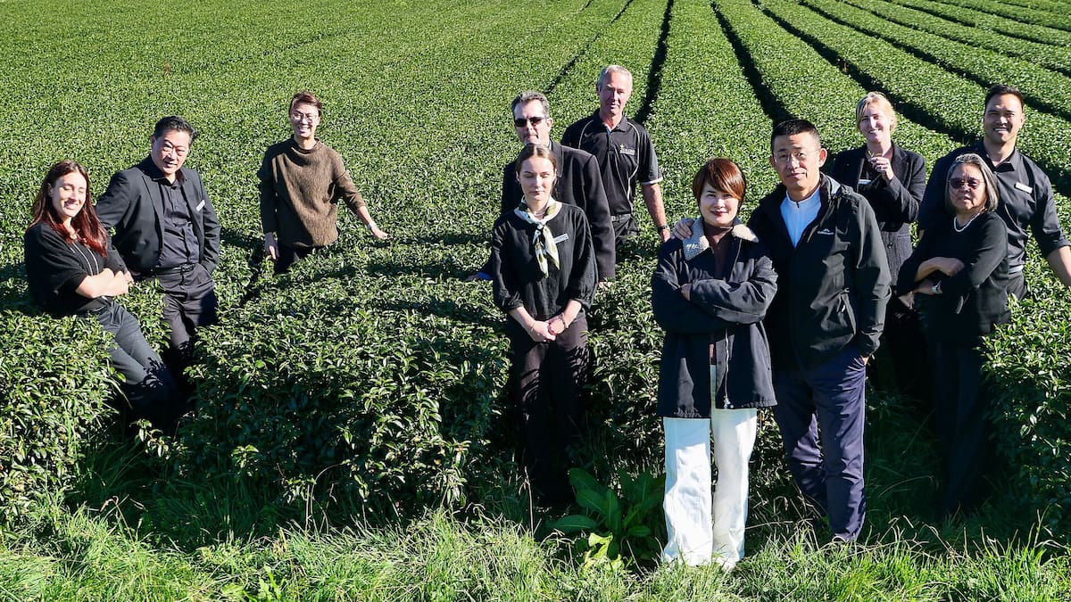 Zealong opens Tea Studios at Mojo cafes in Auckland and Wellington