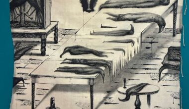 Huia extinction explored in He Hononga Manu exhibition at Hawke’s Bay Museum