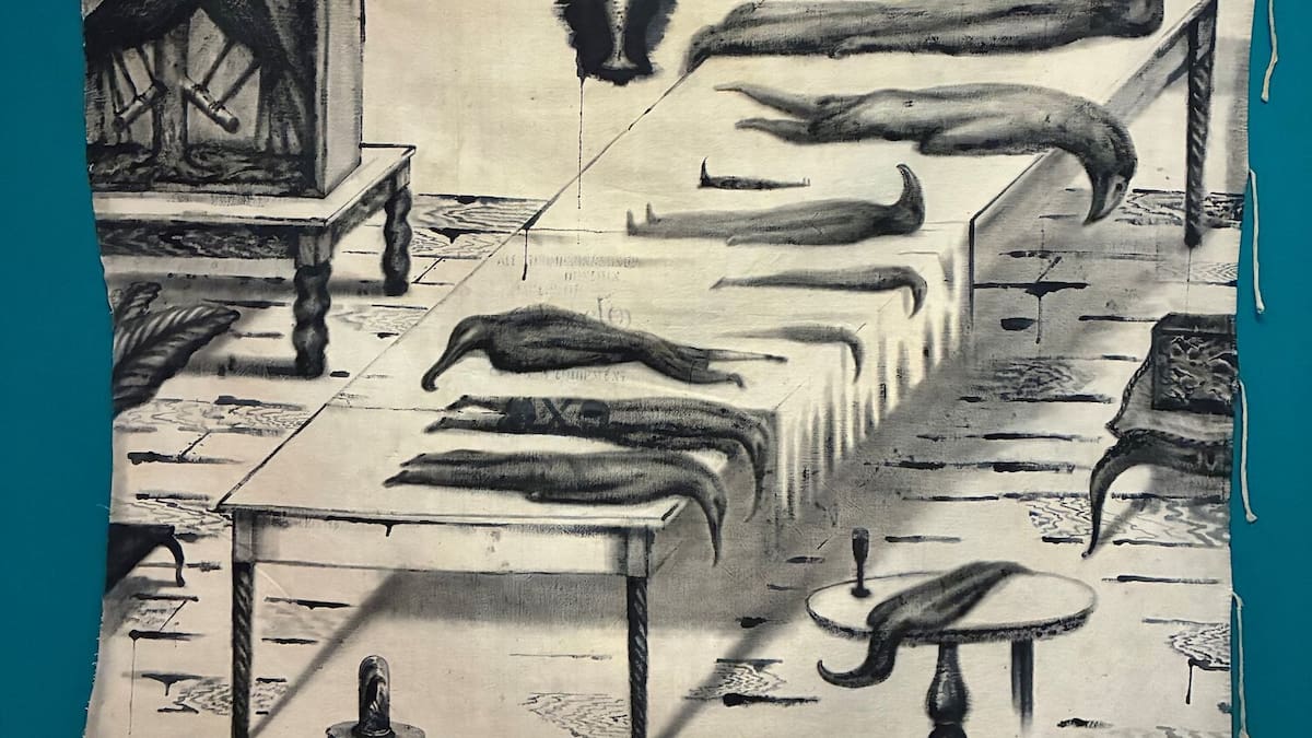 Huia extinction explored in He Hononga Manu exhibition at Hawke’s Bay Museum