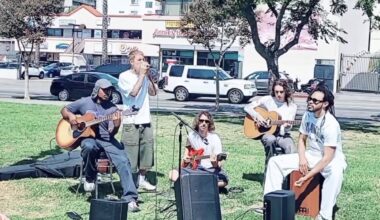 Stereogum home