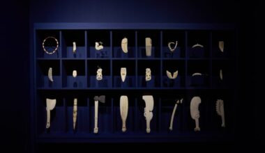 Whale bone taonga make it to France despite CITES hurdles – Te Ao Māori News