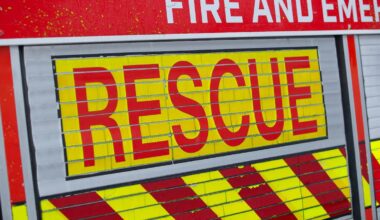 Two people rescued from bottom of cliff in Castor Bay, Auckland
