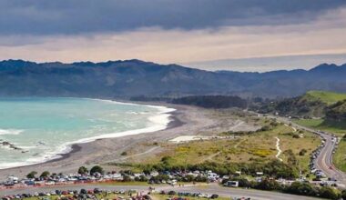 Kaikōura community helps replant former forestry reserve