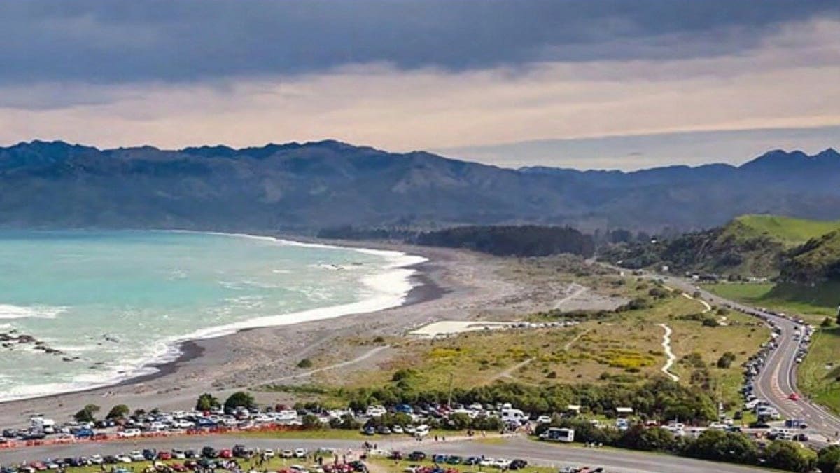 Kaikōura community helps replant former forestry reserve