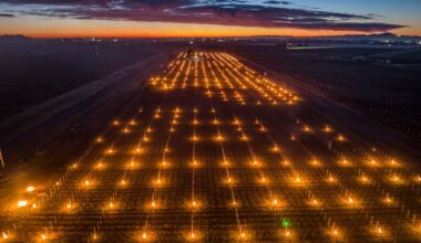 Hawke’s Bay vineyard lit up with 600 candles - no, it’s not an art show