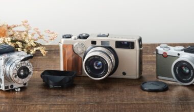 Three vintage cameras and a lens hood sit on a wooden table next to a small bouquet of dried flowers.