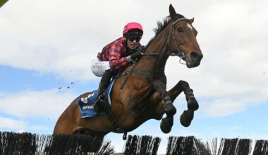 Kevin Myers and Kylan Wiles combine to help punters get a Quid in Great New Zealand Hurdles