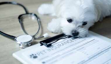 Pet insurance can pay off but you need to read the fine print – Diana Clement