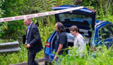 Lok Li double murder trial: Pathologists outline how Auckland couple died