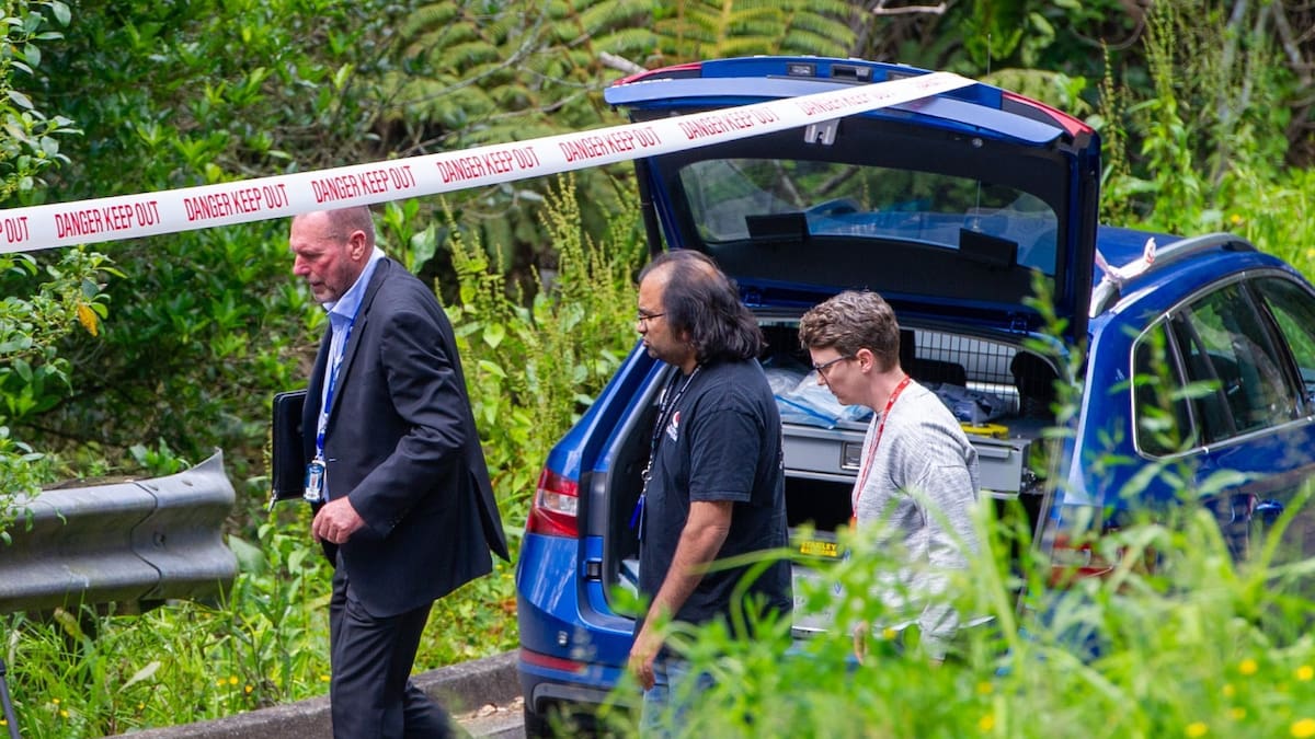 Lok Li double murder trial: Pathologists outline how Auckland couple died