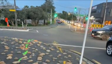 Auckland Transport replaces $8000 rock garden with $26000 landscaped garden