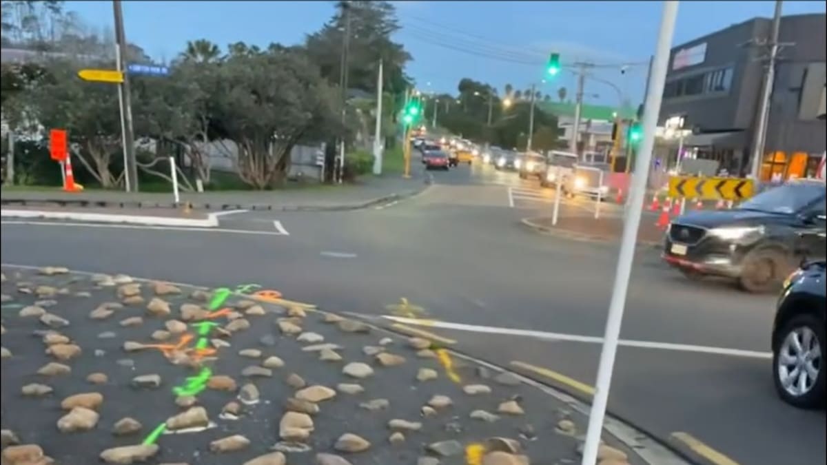 Auckland Transport replaces $8000 rock garden with $26000 landscaped garden