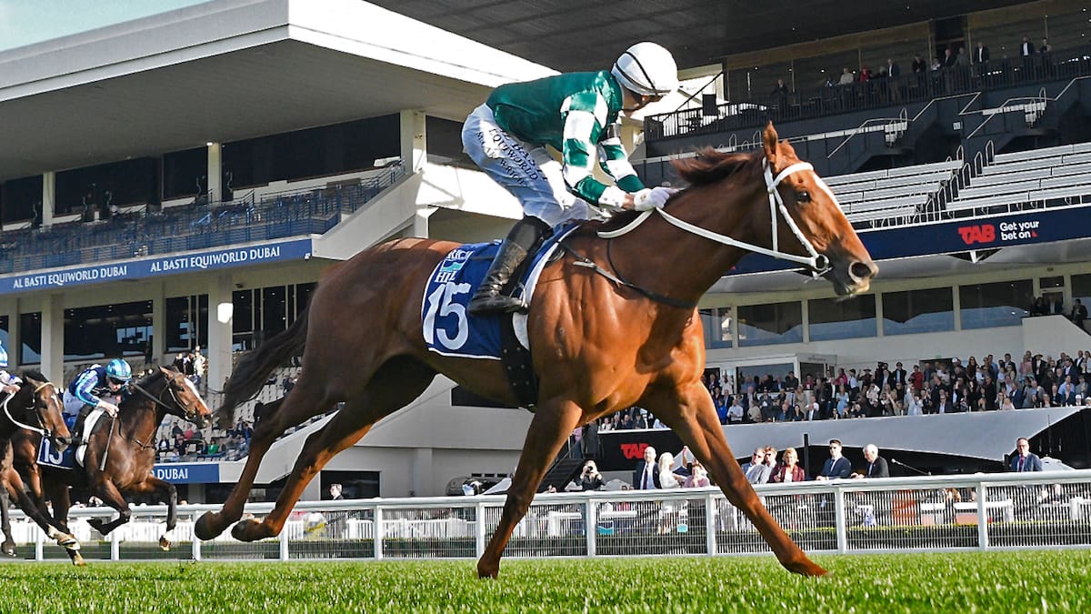 Racing’s superstar Well Written maintains perfect record and keeps dreams alive