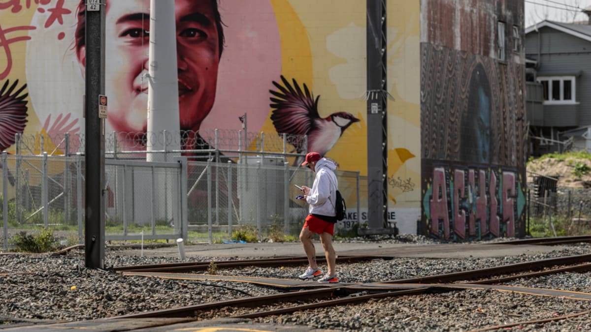 Inner-west Auckland rail crossings face $2.5b-$3.5b rebuild – and disruption to communities
