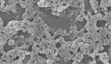 Generative AI helps scientists design entirely new RNA transporters