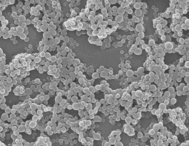 Generative AI helps scientists design entirely new RNA transporters