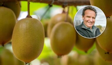 Major grower wants shake-up to kiwifruit sector; labels Zespri ‘fat and lazy’ despite record sales