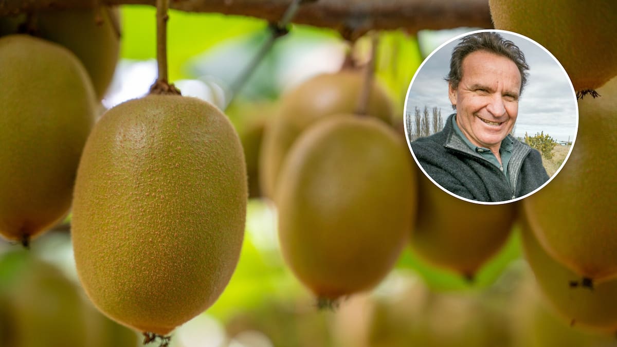 Major grower wants shake-up to kiwifruit sector; labels Zespri ‘fat and lazy’ despite record sales