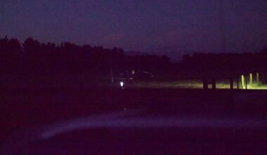Eyrewell microlight aircraft crash reported as emergency services respond