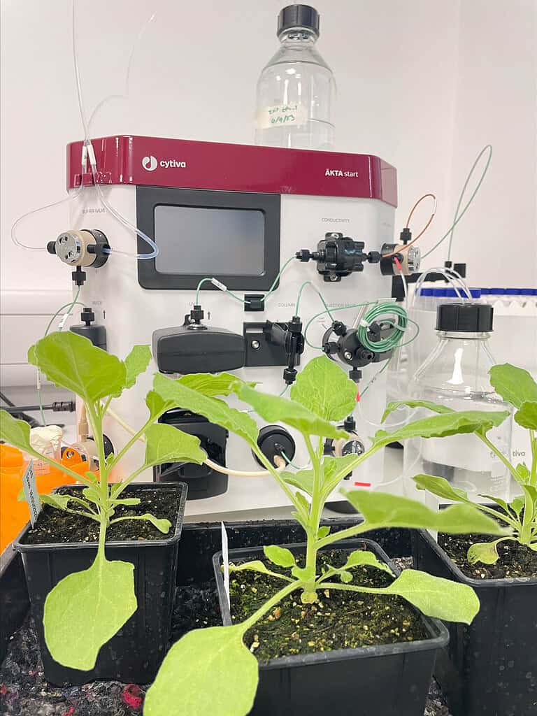 Bright green plants in black pots beside lab equipment 