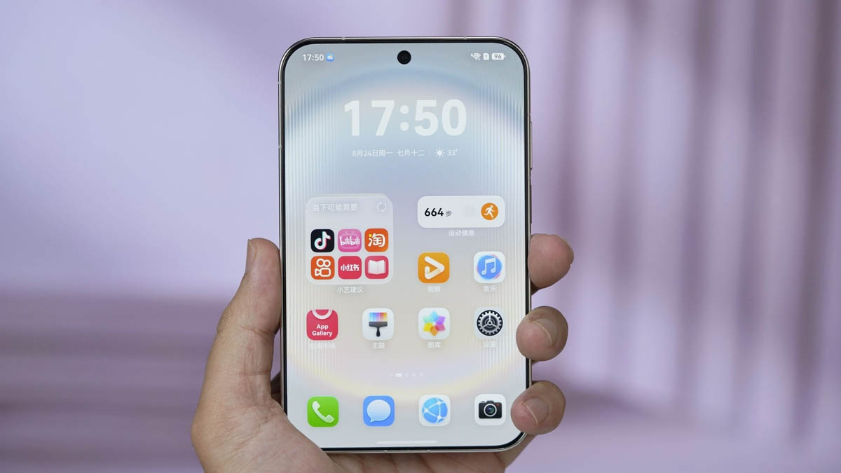 Huawei Pura X View