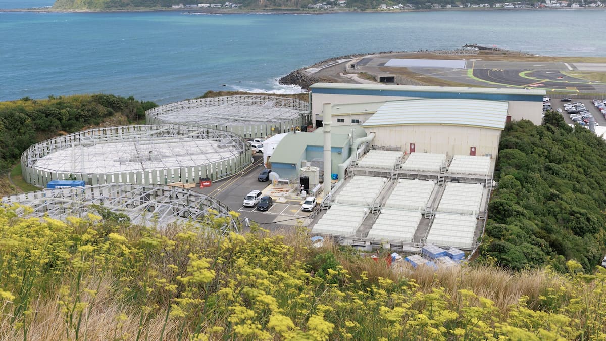 Moa Point report reveals design flaws and ignored risks before February disaster