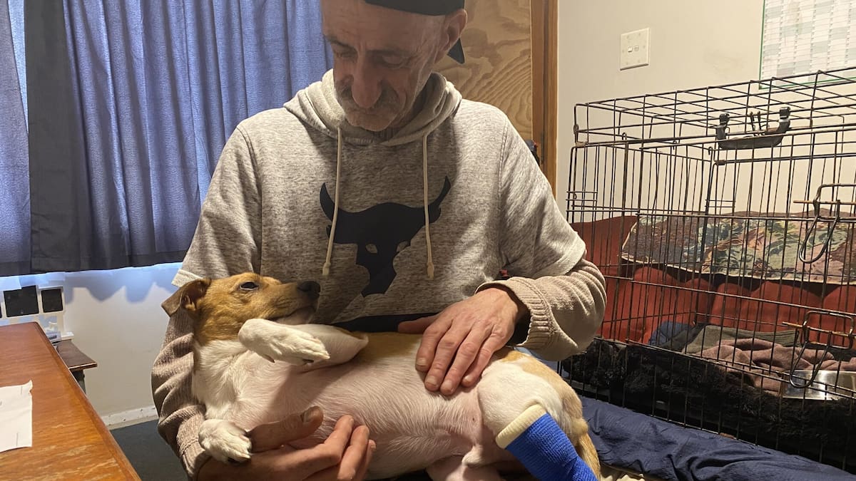 Russell Thomson recalls ‘scary’ dog attack that badly injured him and dog Chiko