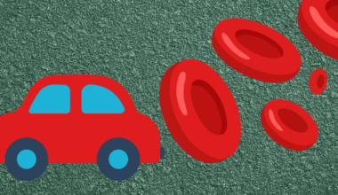 Gene Therapy Vehicles from Red Blood Cell Vesicles