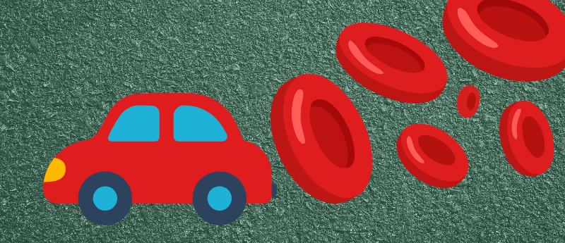 Gene Therapy Vehicles from Red Blood Cell Vesicles