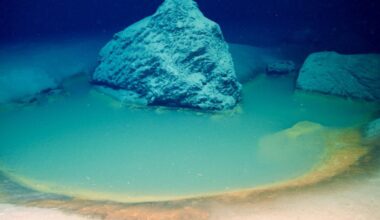 Scientists Found a Deep-Sea ‘Death Pool’ That Vanished. It May Show How Earth's First Life Survived