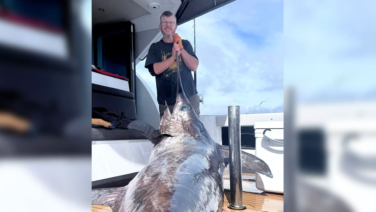 Huge swordfish caught off Hawke’s Bay coast smashes club record