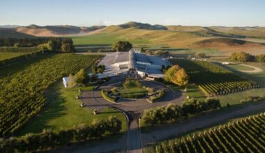 Sileni: Hawke’s Bay winery to close after 30 years; job losses