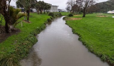 Tiaki Wai warning wastewater discharged in Lower Hutt stream