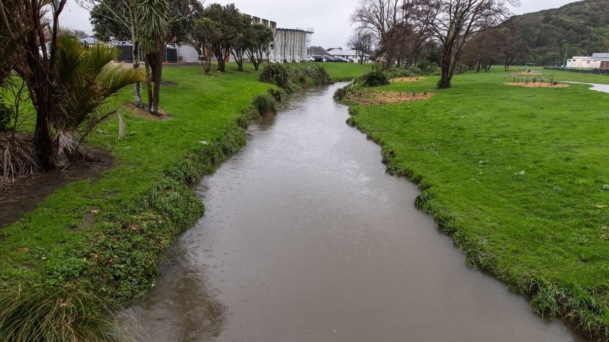 Tiaki Wai warning wastewater discharged in Lower Hutt stream