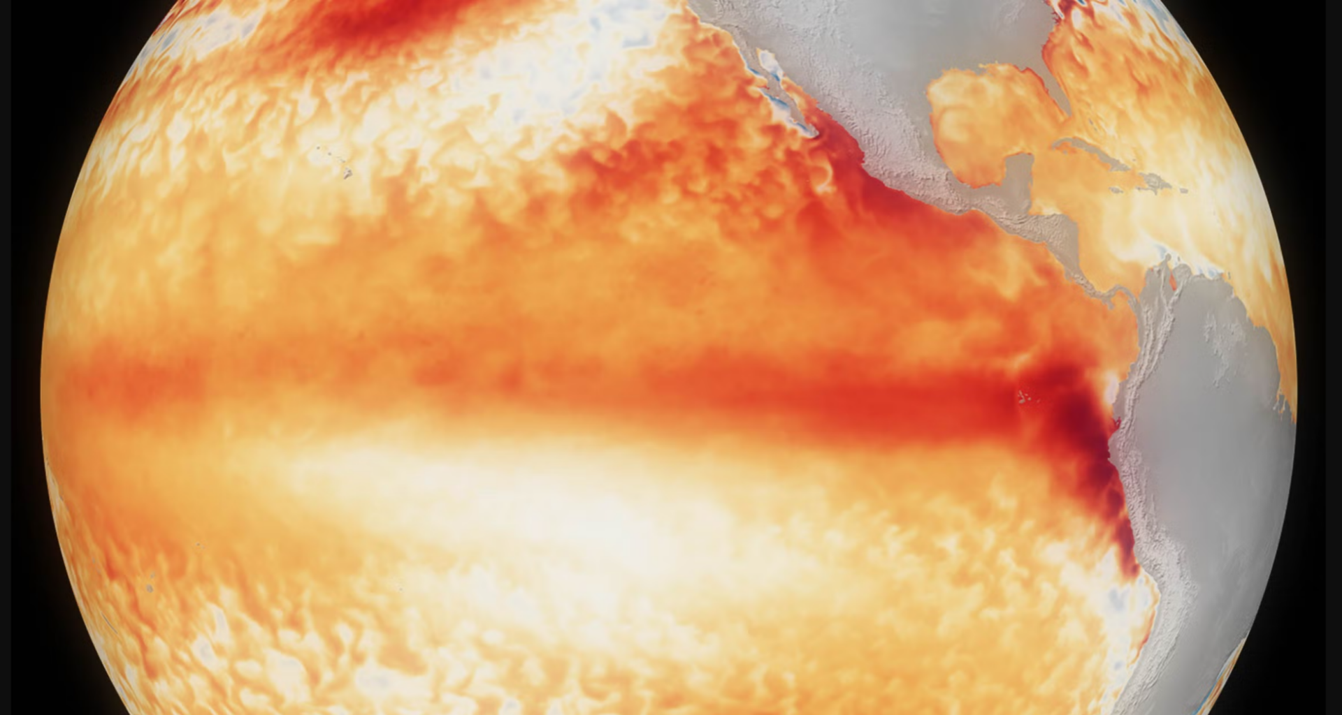 El Niño is stronger than at any point in the past 1,000 years, coral records reveal