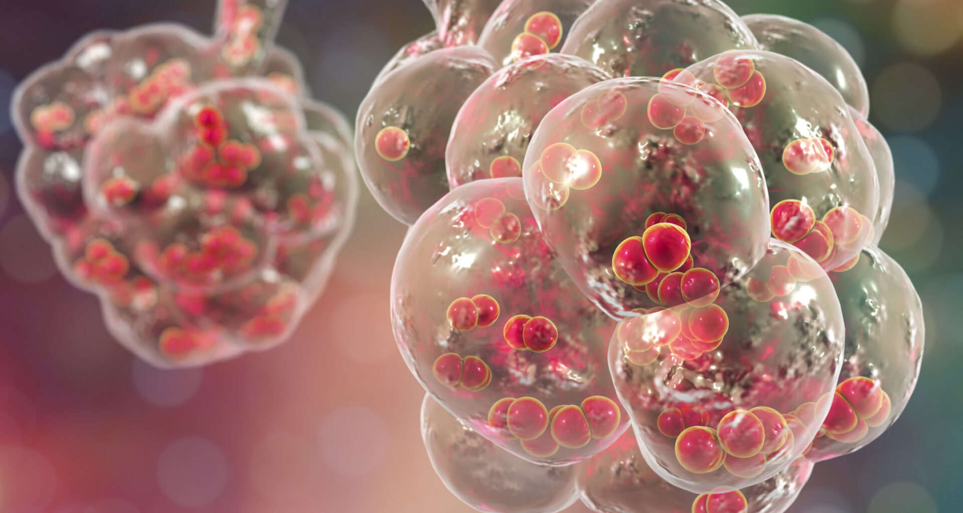 AI Repurposes Drugs in Fight Against Antibiotic Resistance