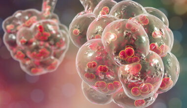 AI Repurposes Drugs in Fight Against Antibiotic Resistance