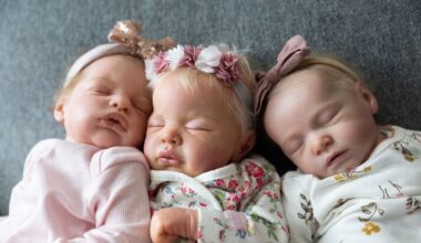 The New Zealand artists creating and collecting hyper-realistic reborn dolls