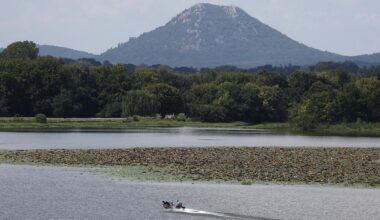 Arkansas foundation sues New York artist over Pinnacle Mountain sculpture that was never delivered | The Arkansas Democrat-Gazette