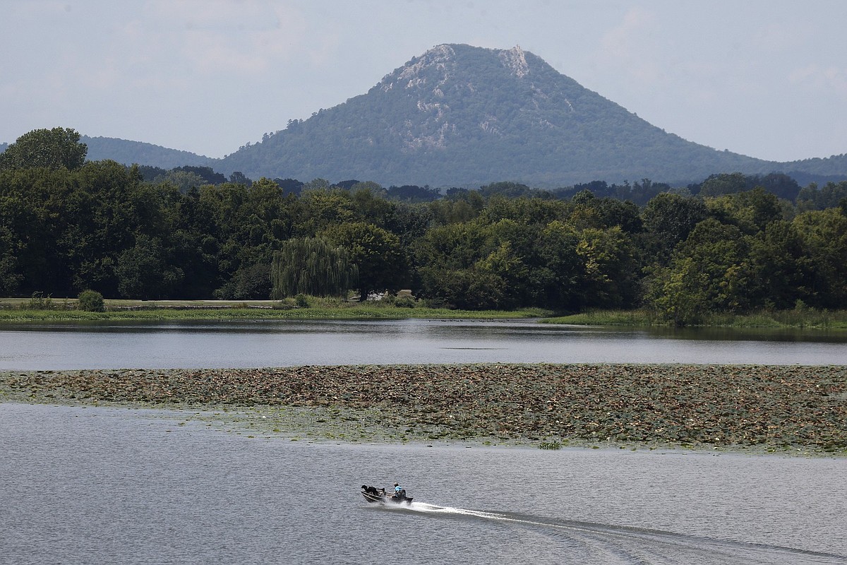 Arkansas foundation sues New York artist over Pinnacle Mountain sculpture that was never delivered | The Arkansas Democrat-Gazette