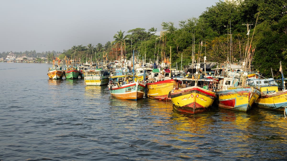 Sri Lanka holiday: The antidote to Bali burnout