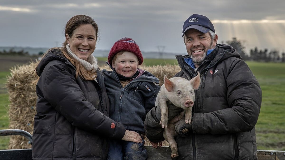 The South Canterbury free-range pig farm behind New Zealand’s top bacon