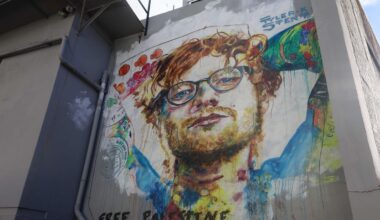 Ed Sheeran mural in Dunedin tagged after Macklemore removed from US tour