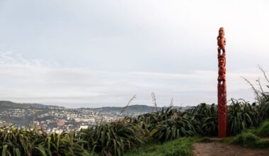 Mount Victoria armed attack: Woman wounded by two men while putting out rubbish