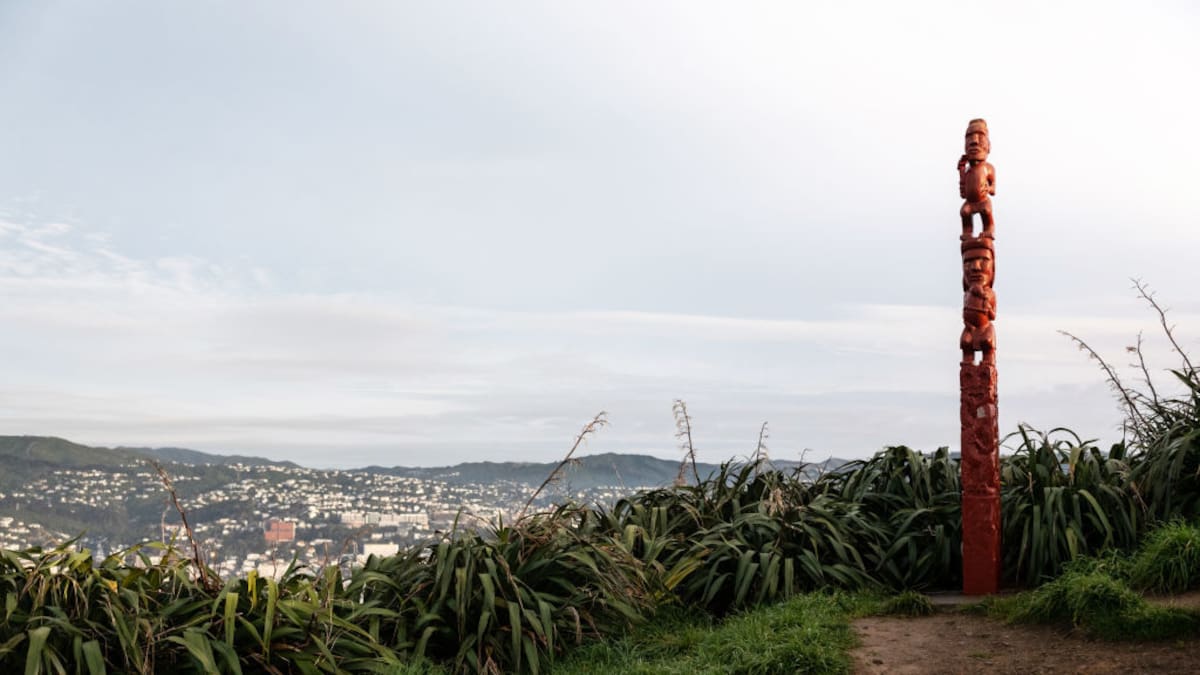 Mount Victoria armed attack: Woman wounded by two men while putting out rubbish