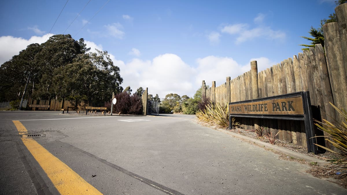 Orana Wildlife Park seeks $4.1m support as Christchurch zoo battles financial crisis