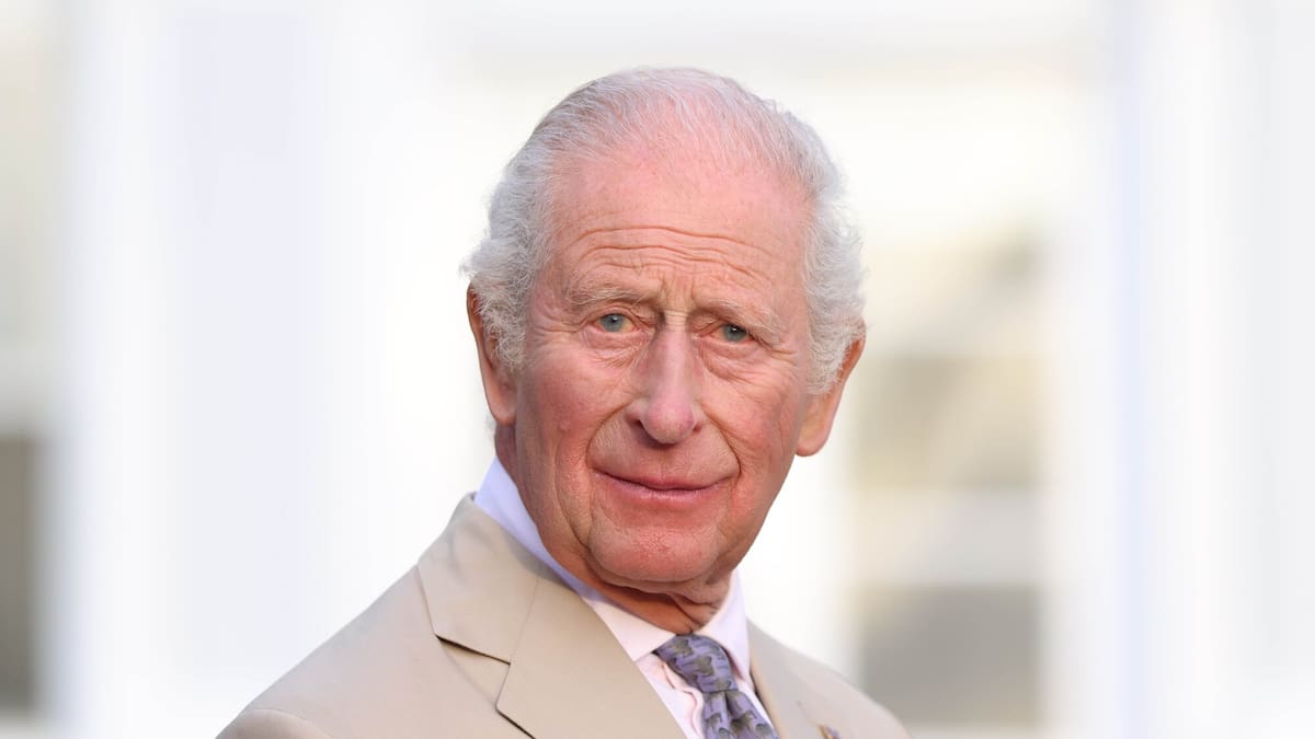 ‘We’ll forget her soon enough’: Charles allegedly said after Diana’s death