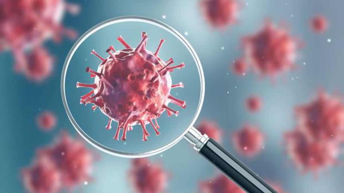 More than 3300 bowel cancers detected after 3 million screening kits distributed